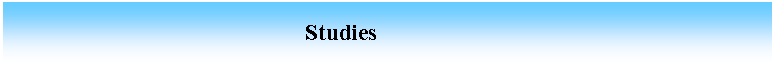 Cuadro de texto:                                                    Studies